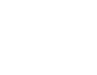 Biogenetix logo