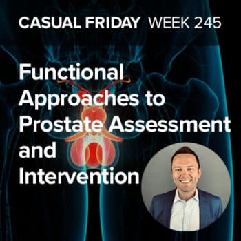 Functional Approaches to Prostate Assessment and Intervention