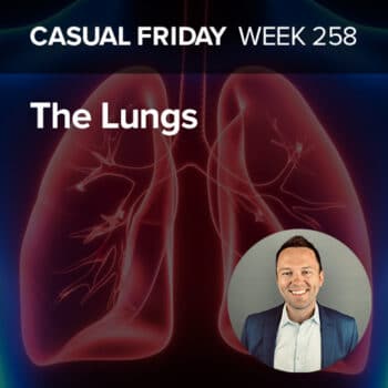 The Lungs